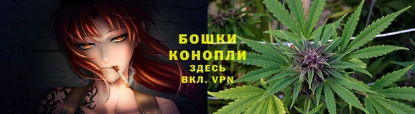 спиды Магадан