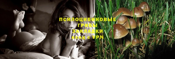 шишки Лиски