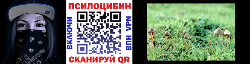 Купить где  Макушино  Галлюциногенные грибы Magic Shrooms 